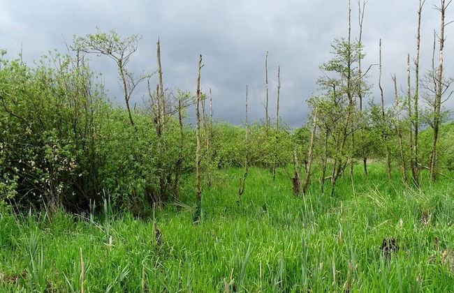 5 Person Holiday Home in Ans By-by Traum - Foto 3