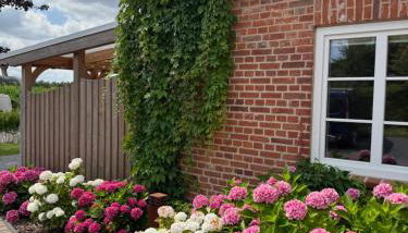 Ferienwohnung „Waschköök“ - Hof Mühlenkoppel - Foto 4