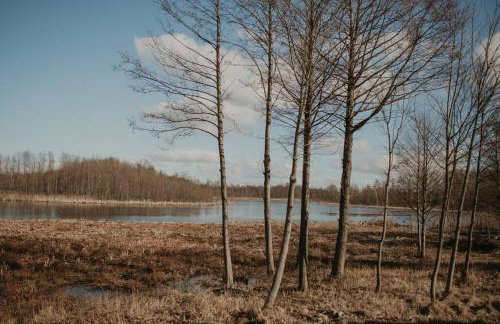 Niebieski Domek nad jeziorem Mazurskie klimaty - Foto 43