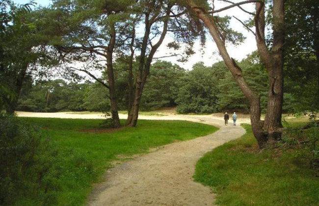 Cosy Holiday Home in Appelscha With Garden - Foto 64