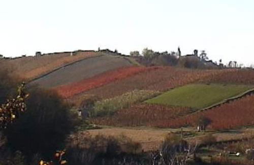 Casa intera tra le colline e le vigne del Dolcetto - Foto 10