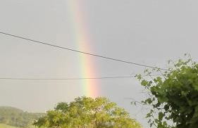 Apartamentos El Campo - Foto 71