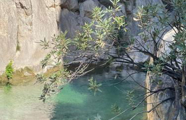 Altea Dreamview - Foto 32