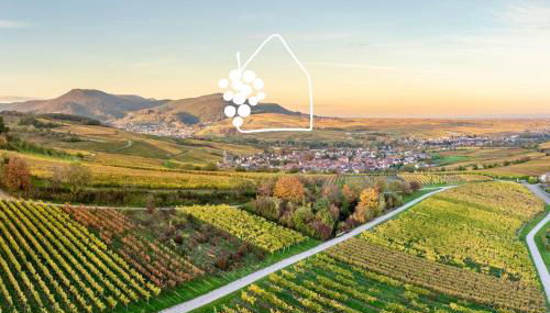 Das Winzereck - 4 Sterne Ferienhaus in der Südpfalz - Foto 4