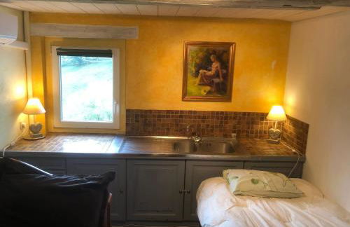 Maison pittoresque à Sainte-Croix-aux-Mines, vue sur la montagne - Foto 70