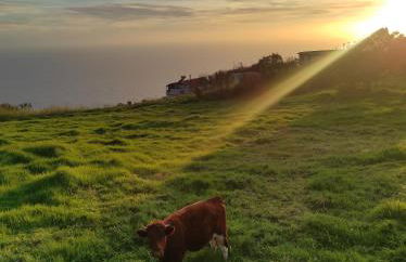 Casa Câmara - Foto 38