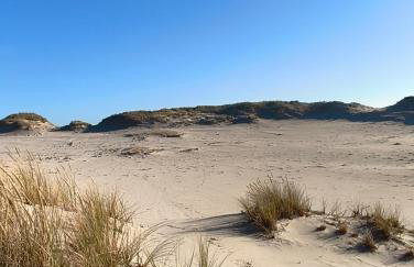 DOMKI RUCHOME PIASKI - Foto 32