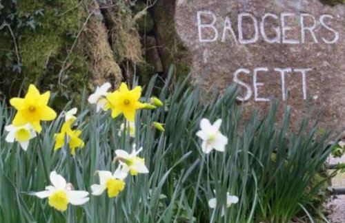 Holiday Home Idyllisches-haustierfreundliches Landhaus Lavender by Interhome - Photo 29