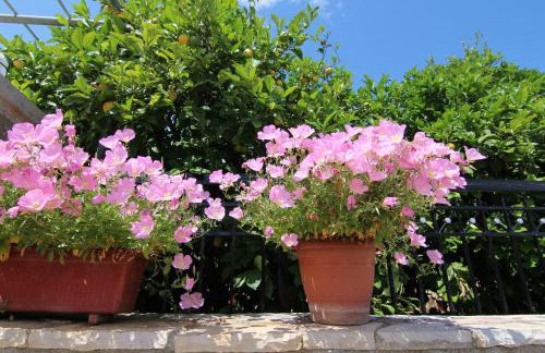 Family Apartment - Foto 27