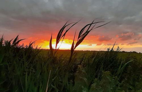 Ferienhaus Rosengarten - Foto 7