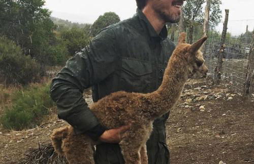 Artistic Garden Casita on Organic Farm in New Mexico - Foto 26