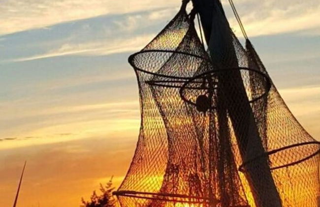 Our-island-scharbeutz - Foto 14