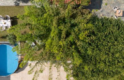 Eleni Residence by the sea - Photo 28