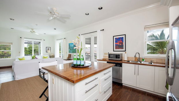 Seaside Escape: Private Beachfront Villa With Infinity Pool - Foto 4, Cocina privada