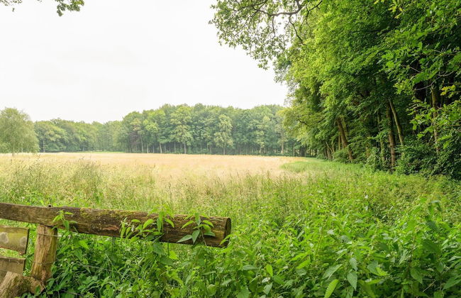 Beautiful Holiday Home in Oldenzaal with Hot Tub - Foto 24