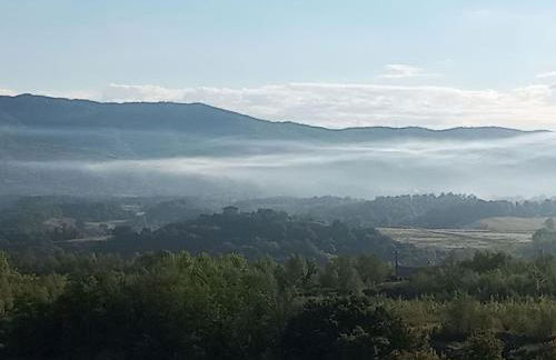 Apartment Flache Linde by Interhome - Foto 46