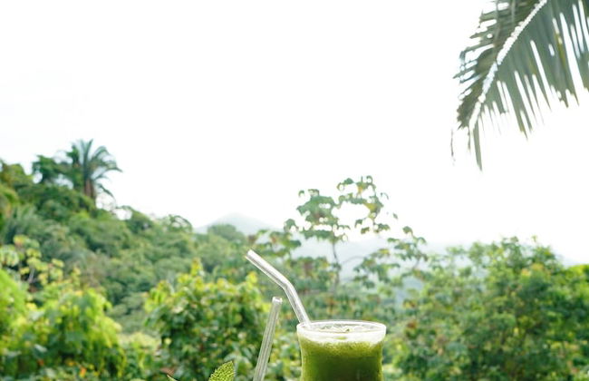 Sol de minca - Photo 3