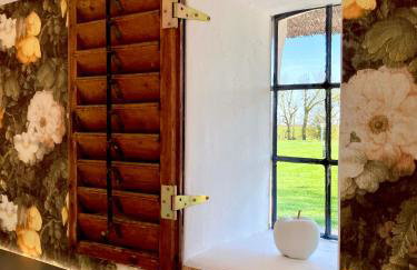 Reetdachhaus, Sauna, E-Bikes, 6 Personen - Foto 22