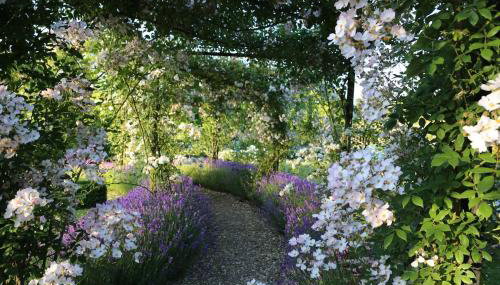 Walled Garden Cottage by Vineyard - Foto 5, Garden