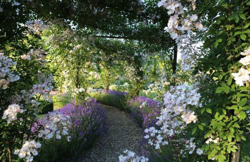 Walled Garden Cottage by Vineyard - Foto 5