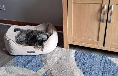 Room with a view - Foto 61