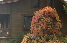 Siedlisko Topolany Agroturystyka - Foto 25