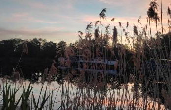 My Tasse de Thé - Foto 26