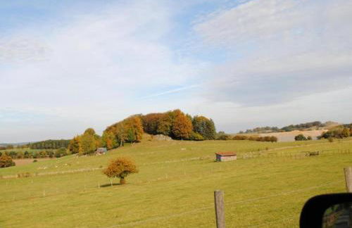Ferienwohnung in Bontkirchen - Foto 30