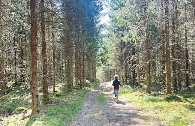 5 Person Holiday Home in Markaryd - Foto 13