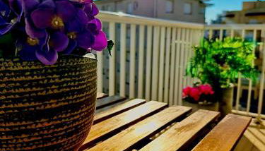 Sunrisemare Vacational Studio - Foto 4