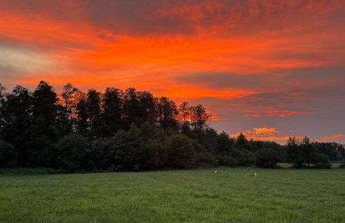 Siedlisko Waniewo 64 - Foto 4