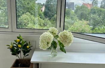 Ferienwohnung in Winterlingen - Foto 8