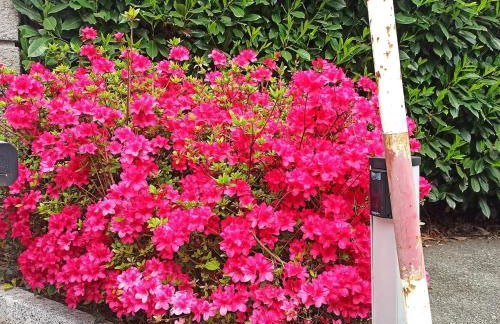 Casa Sandrina, un romantico rifugio vista lago - Foto 29