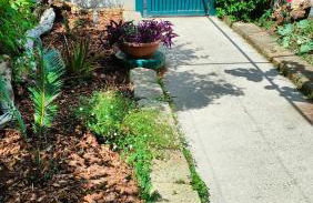 GreenHouse_Anzio - Photo 7