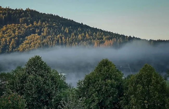 Ruhig Gelegenes Appartement in Niedersfeld - Foto 17