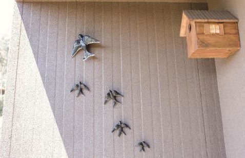 Medronho D'Ouro bungalows - Foto 45