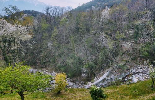 Apartment Raviscioni Albino by Interhome - Foto 47