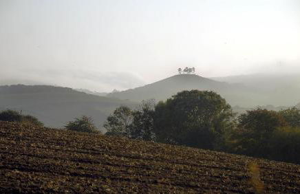 Colly Farm - Photo 5