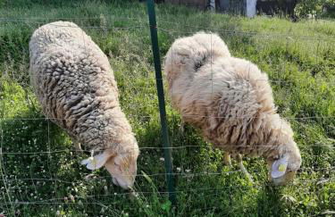 Sunset Valley - A Tuscan Experience - Foto 58