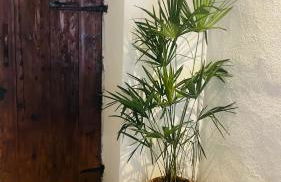 COURT HOUSE Baveno Lake - Foto 24