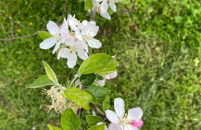 VISITAR BIOUCAS I - Casa Inteira Familiar e Grupo de Amigos - Foto 53