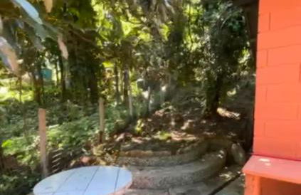 Encanto dos Pássaros - Foto 8