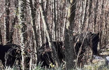 La casa di Mirella - Foto 22