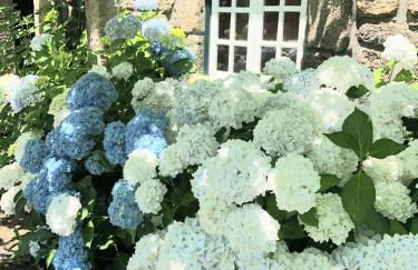 QUINTA DONA MANUELA - Foto 29