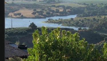 Casa Calhandra-Real - Foto 4