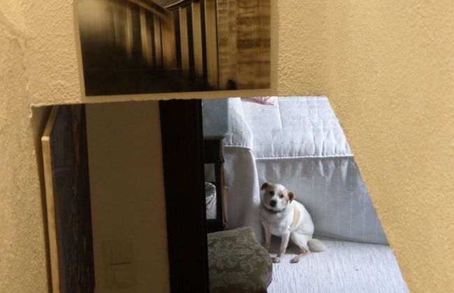 The Old Palace Tower / La Torre del Palación - Foto 26