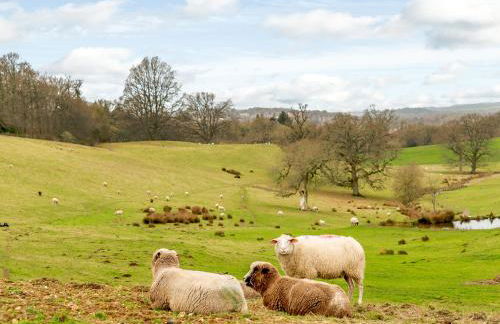 Spire View - Foto 20