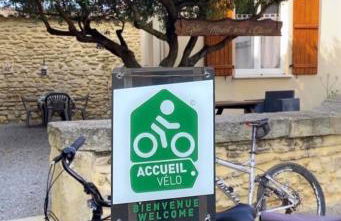 Les Gîtes sous l' Olivier en Camargue - Photo 66