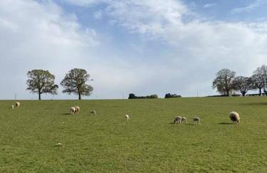 Coach House - detached cottage within 135 acres - Foto 40