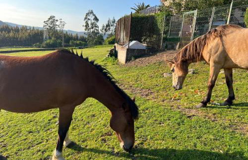 Casa Camiño do Eume - Foto 35